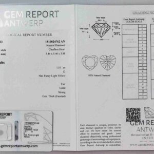 DIAMANTE HEART CUT 1810024762 AN