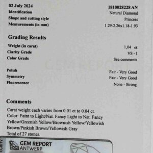 DIAMANTE PRINCESS CUT 1810028228 AN