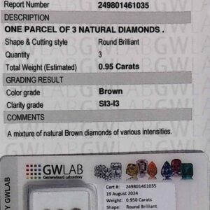 DIAMANTE ROUND BRILLIANT 249801461035