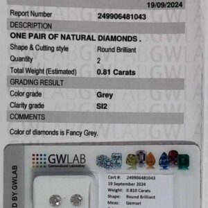 DIAMANTE ROUND BRILLIANT 249906481043