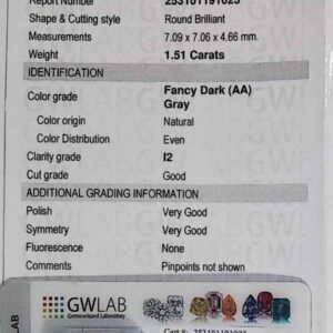 DIAMANTE ROUND BRILLIANT 253101191023