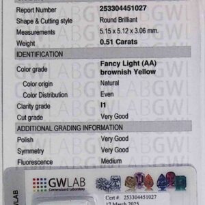 DIAMANTE ROUND BRILLIANT 253304451027