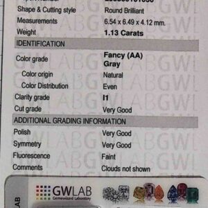 DIAMANTE ROUND BRILLIANT 253309161030