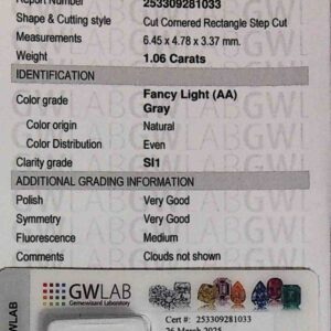 DIAMANTE CUT CORNERED RECTANGLE STEP CUT 253309281033