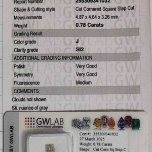 DIAMANTE CUT CORNERED SQUIARE STEP CUT 255309341032