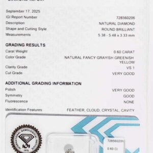 DIAMANTE ROUND BRILLIANT 728560206